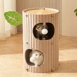 Tour Maison pour Chat avec Surface de Griffage