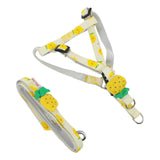 Harnais & Laisse Ananas Réglables pour Chien et Chat